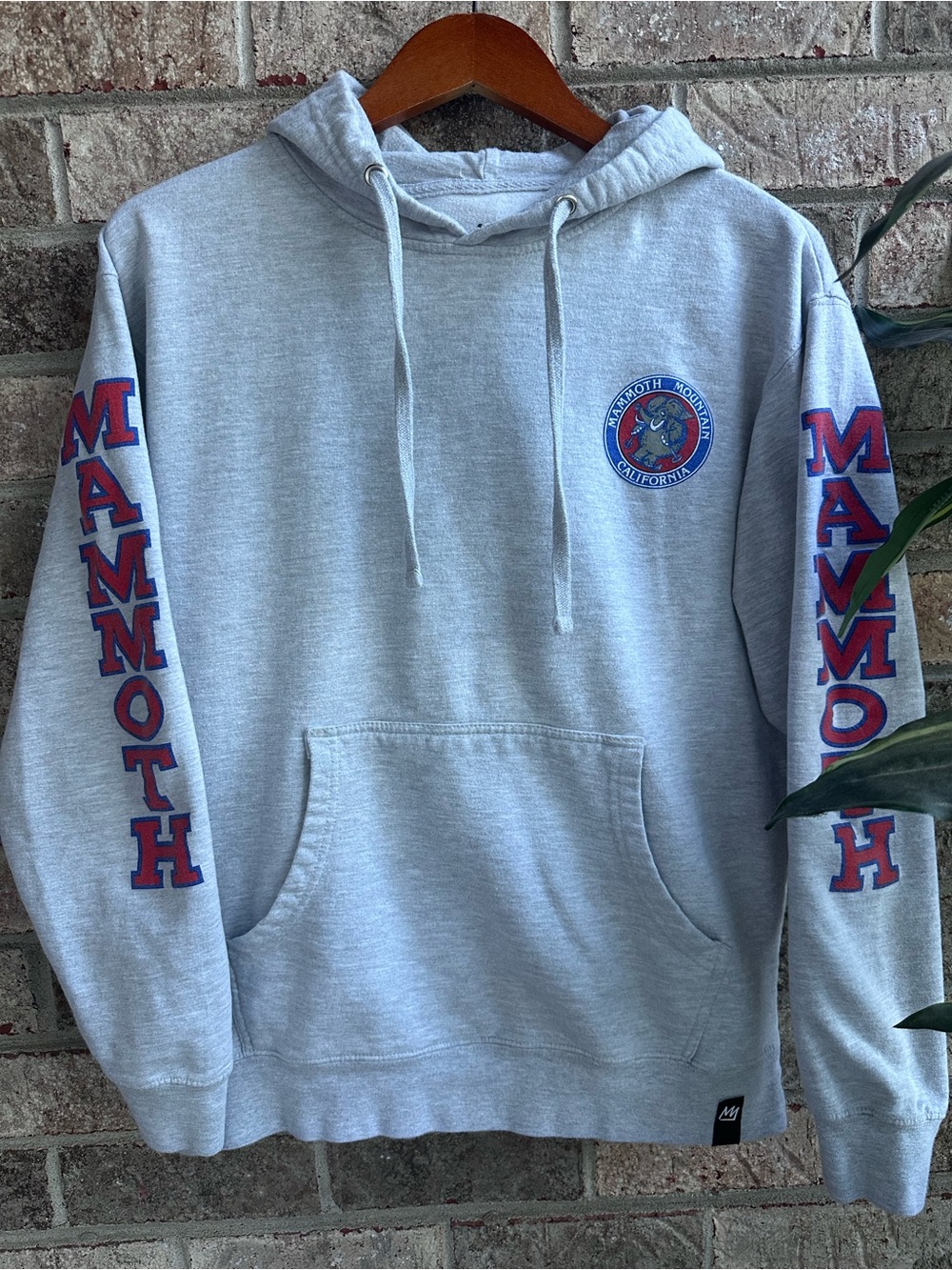 Mammoth Mountain Gray Hooded Sweatshirt w/ Sleeve Logo Medium